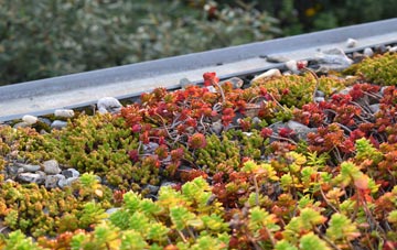 the cost of Barlake green roof installation