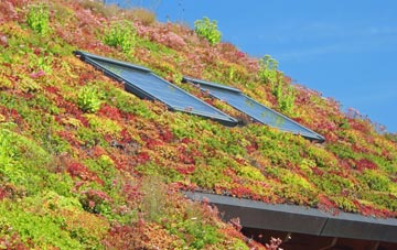 Barlake living roof systems