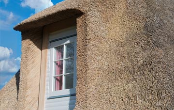 Barlake thatch roof disadvantages